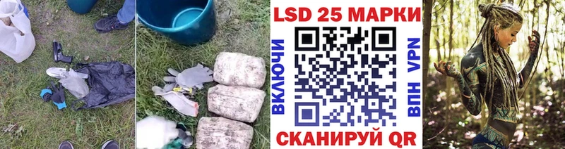 blacksprut ссылка даркнет сайт Александров Лсд 25 экстази кислота